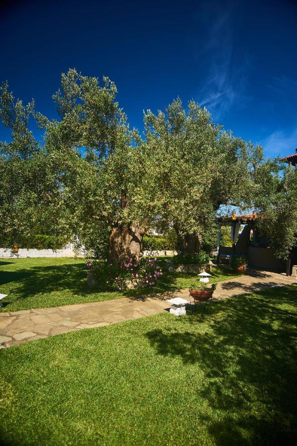 Villa The Cosy Olive Ormos Panagias Extérieur photo