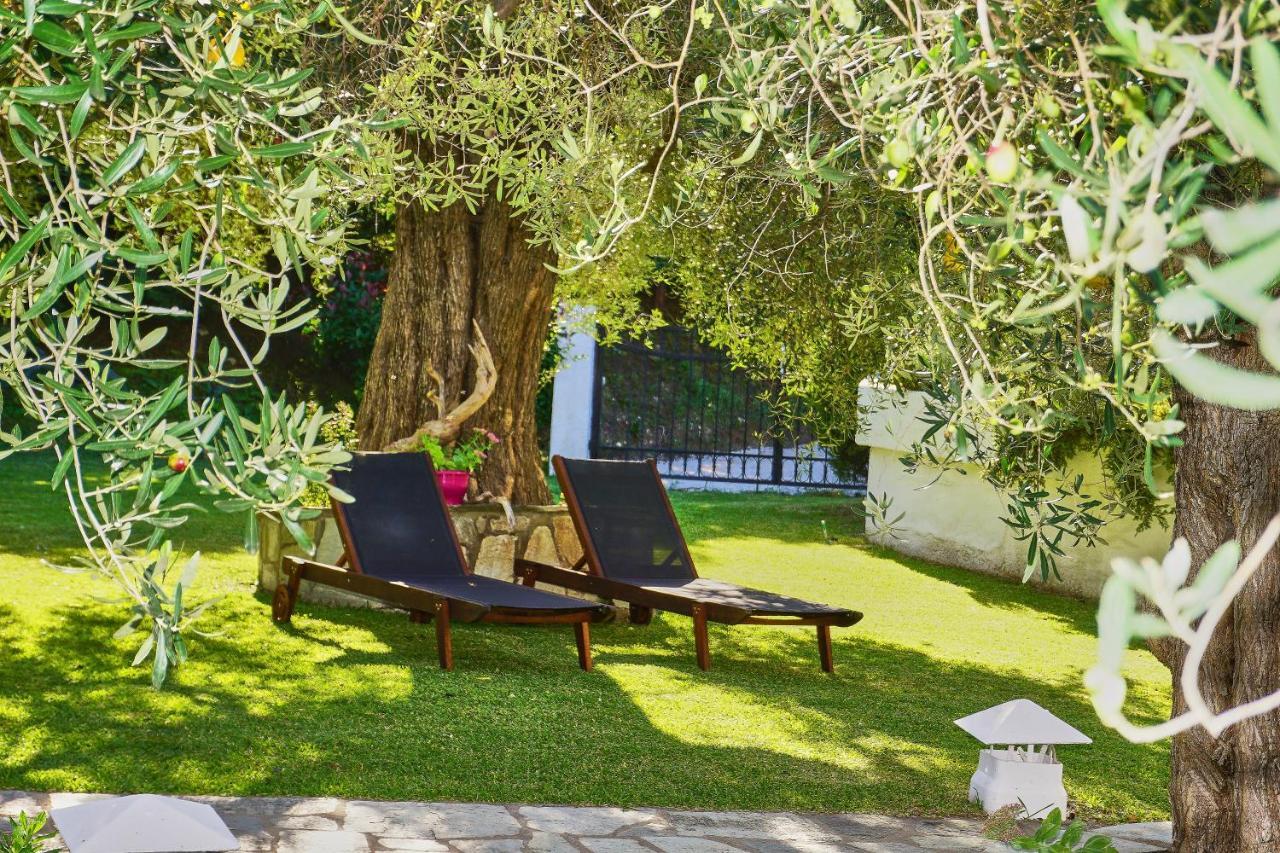 Villa The Cosy Olive Ormos Panagias Extérieur photo